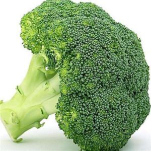 Fresh Broccoli