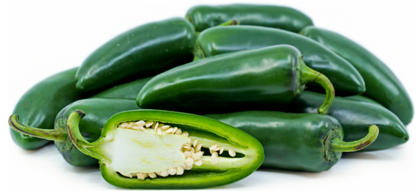 Green Jalapeno Peppers